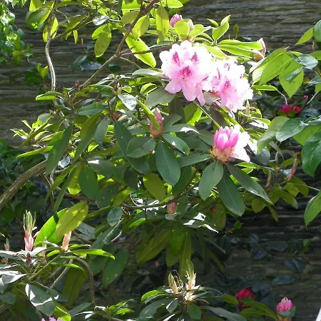 D'hotes Du Perray 3* Канде