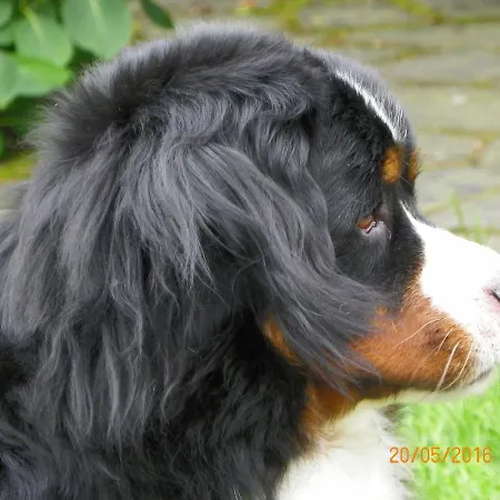 D'hotes Du Perray B&B