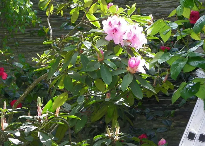 D'hotes Du Perray 3* Candé