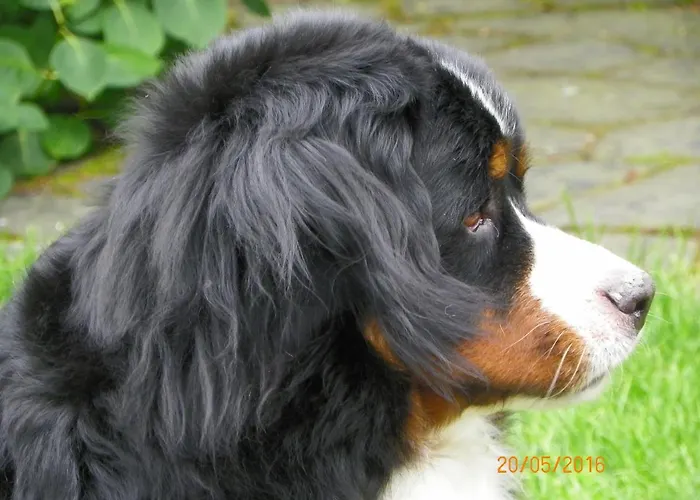 D'hôtes Du Perray Alojamento de Acomodação e Pequeno-almoço