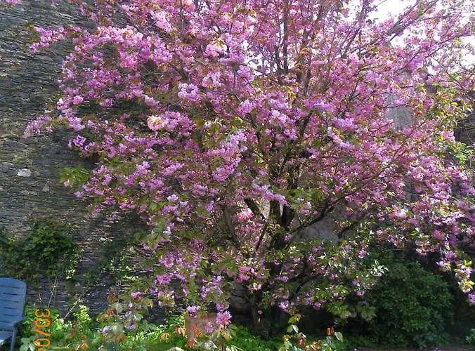 B&B D'hotes Du Perray 3*